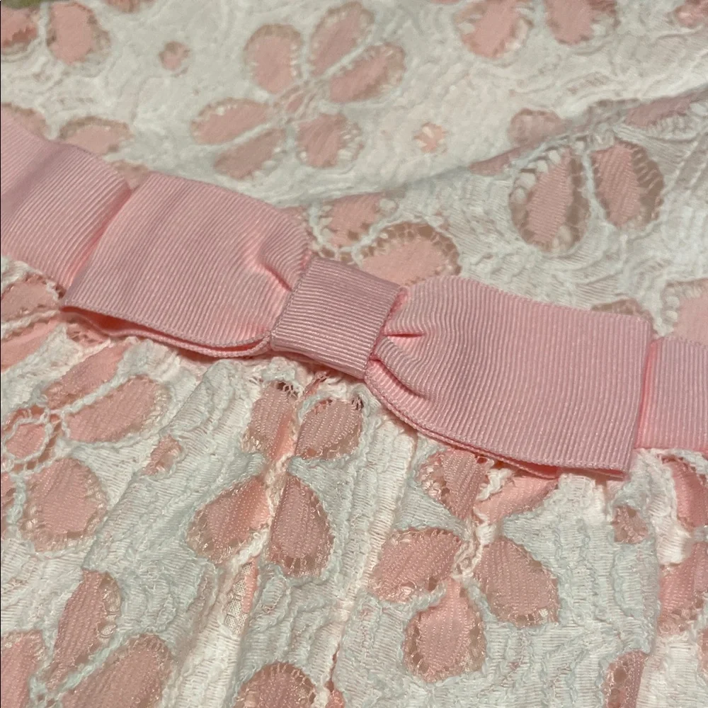 Gymboree Pink and White Floral Lace Dress